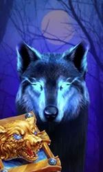 Book Of The Night Wolf